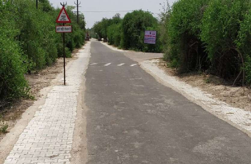 bharatpur घना में आराम से आ-जा सकेंगे पर्यटक, रास्ता हुआ चौड़ा