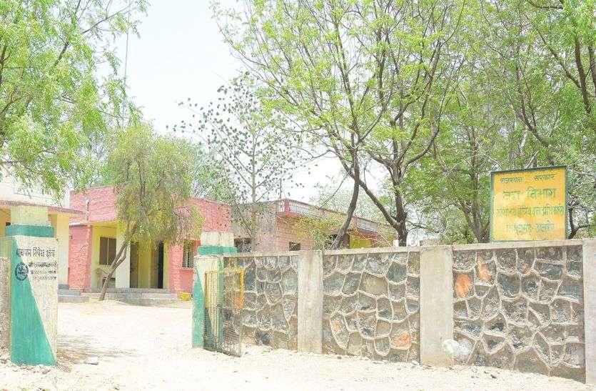 Only 1238 wildlife seen गणना में दिखे मात्र 1238 वन्य जीव