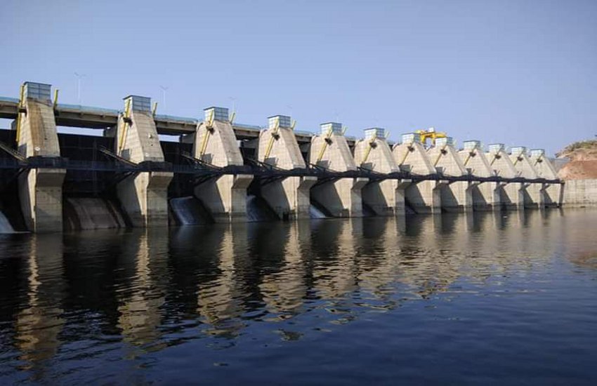 News impact क्यों नहीं काटे गए 2 हजार वृक्ष, शुरू हुई जांच