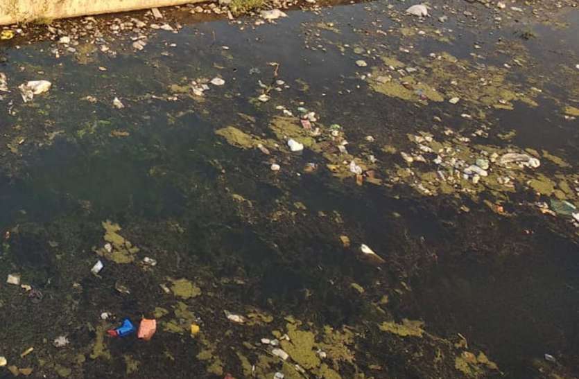 Neglected river, neglected cleanliness, responsible unaware उपेक्षा से आहत नदी, मांग रही साफ-सफाई, जिम्मेदार बेखबर