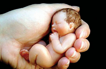 haryana police disclosed Fetal screening gang in sirsa हरियाणा से महिलाओं को ले जाते थे यहां और फिर करते थे भ्रूण जांच, बड़े गिरोड का पुलिस ने किया भंड़ाफोड़