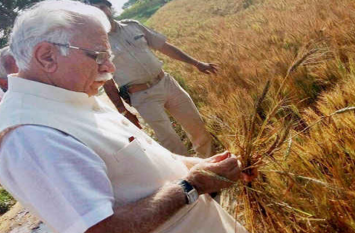 haryana farmers don't agree to stop paddy farming हरियाणा:धान की खेती रोकने के सुझाव से किसान नाराज, कृषि समस्याओं के समाधान के लिए रखी यह विशेष मांगें