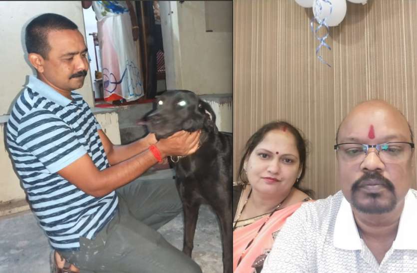 National Rescue Day Special बेजुबान सिखाते निशब्द प्रेम की भाषा