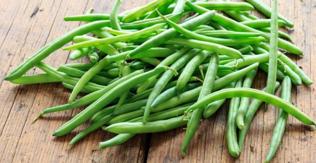 vegetarian vegetarian
