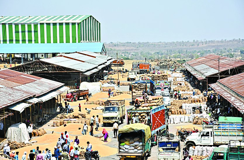 Production less or farmer rich उत्पादन कम या किसान मालामाल, लक्ष्य से क्यों चूकी सरकार