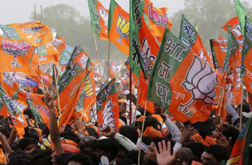 bjp Lok Sabha Election Results 2019 : भगवामय हुआ मेवाड़, खिला कमल, यहां जानें संभाग की सभी सीटों का गणित..