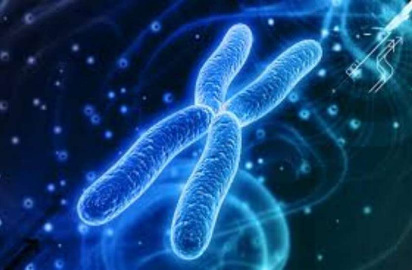 acid DNA के बारे में यह खास बातें नहीं जानते होंगे आप...