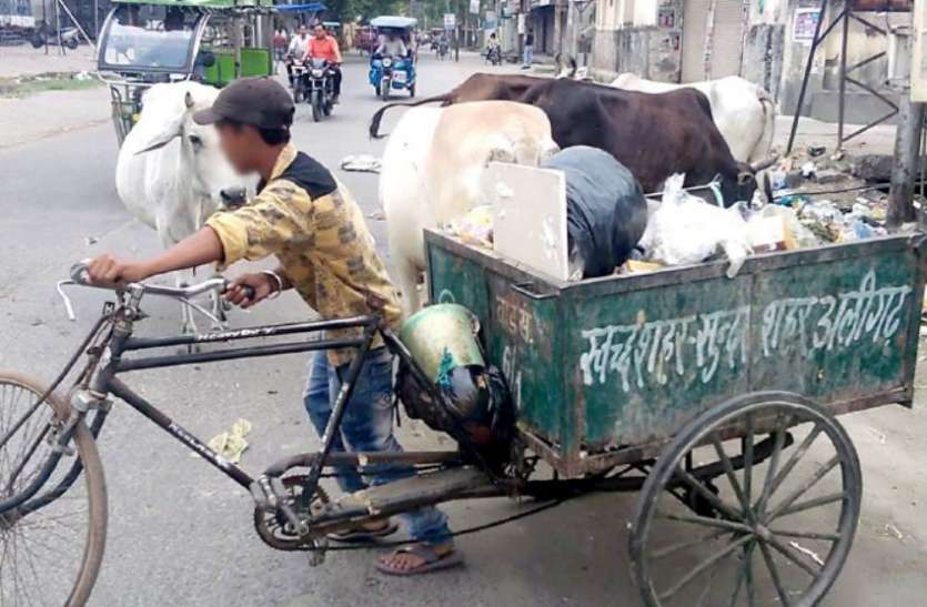 Child labor in nagra nigam Aligarh स्मार्ट सिटी योजना में भले ही शहर स्मार्ट न हुआ हो, पर सफाई कर्चमारी जरूर स्मार्ट हो गए हैं, जानिए कैसे