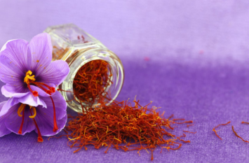 Saffron has medicinal properties with fragrance केसर में खुशबू के साथ औषधीय गुण भी हैं, जानें इसके फायदे