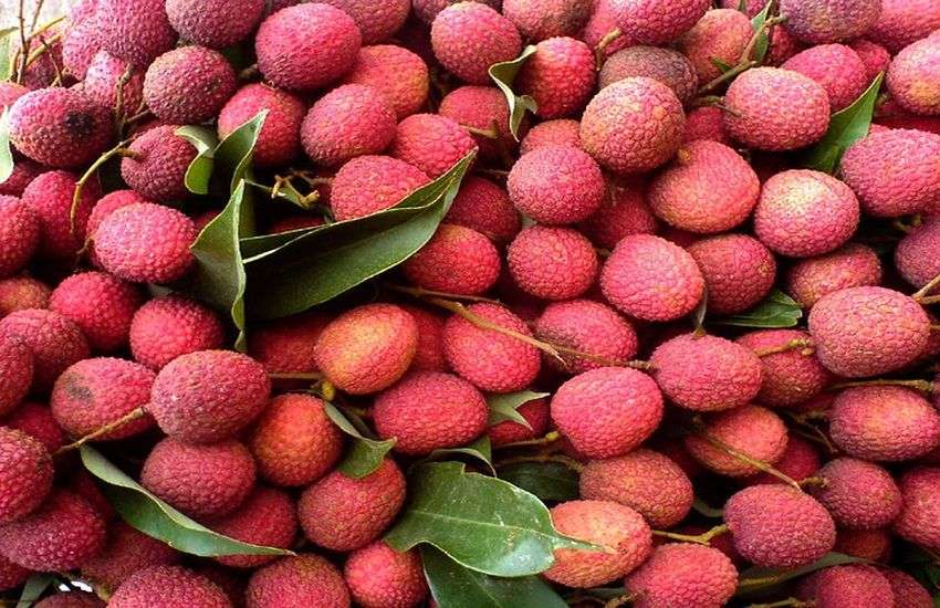 lichi-benefit-for-health-in-hindi