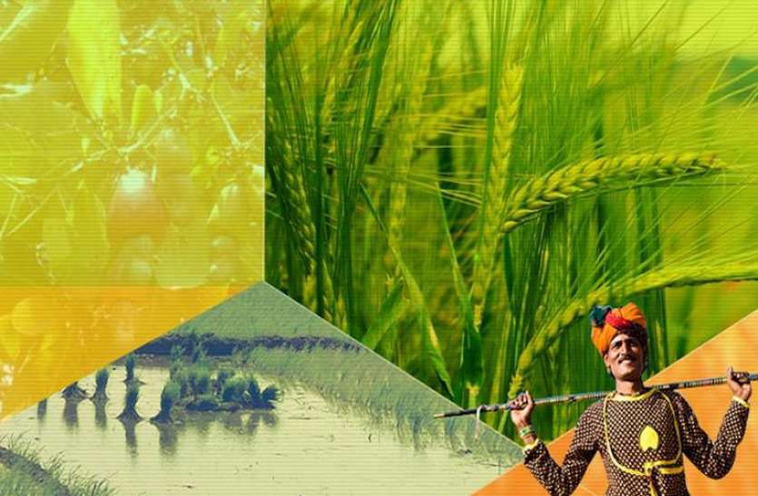 Agriculture पहले राष्ट्रपति डॉ. राजेन्द्र प्रसाद थे देश के प्रथम कृषि मंत्री, जानें- कृषि मंत्रालय से जुड़ी कुछ खास और रोचक बातें