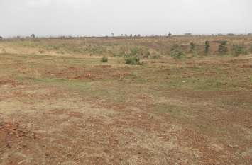 Millions of trees dry जहां होना चाहिए थे लाखों पेड़, वहां अब है सूखे मैदान