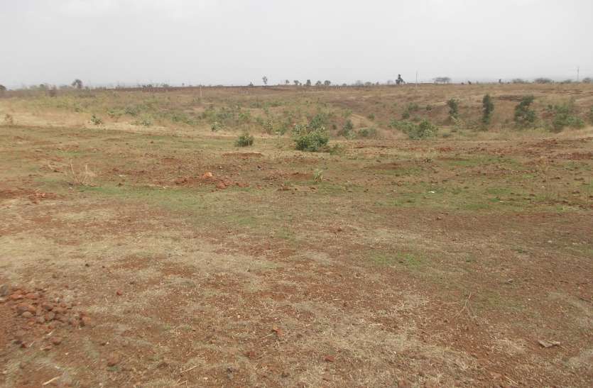 Millions of trees dry जहां होना चाहिए थे लाखों पेड़, वहां अब है सूखे मैदान