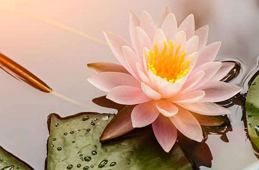 astrology of thursday