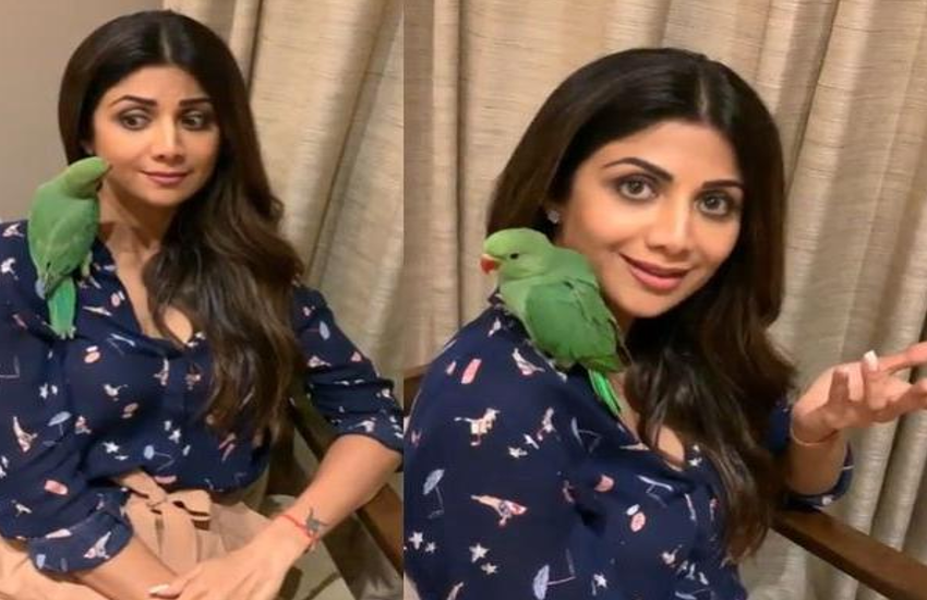 shilpa shetty