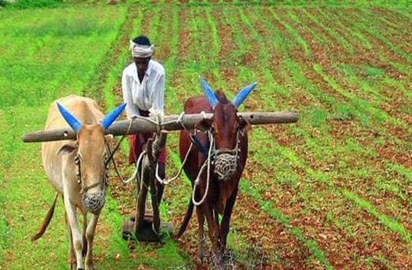 indore किसानों ने ही जुटाई धोखेबाज व्यापारी की संपत्ति की जानकारी