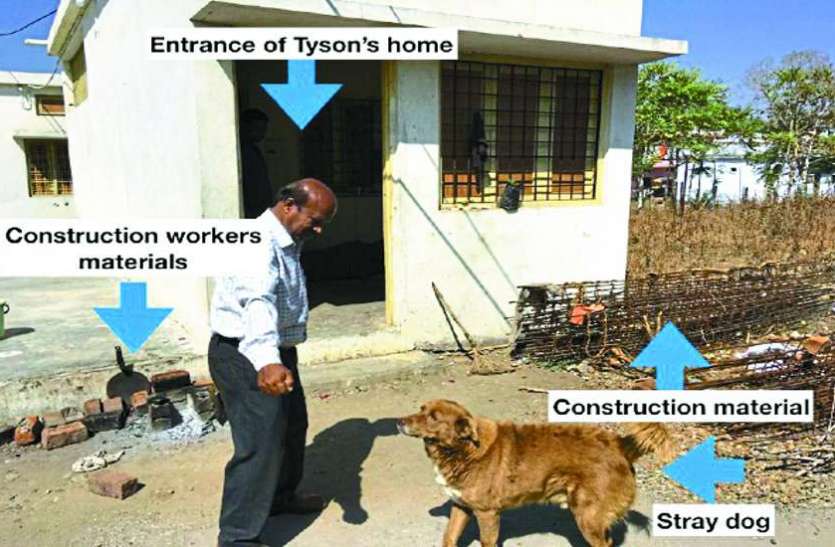 Belgian dog death case Nauradehi Sanctuary sagar टायसन की मौत के लिए जिम्मेदार कौन, जांच से होगा खुलासा