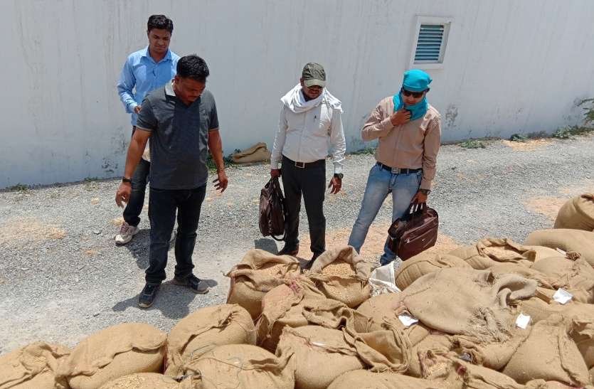 Big negligence wheat procurement katni किसानों का गेहूं खरीदी मामले में सामने आई प्रशासन की बड़ी बेपरवाही, जानिए क्या है पूरा मामला