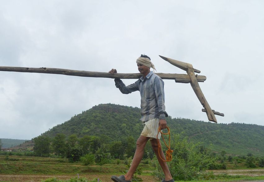 Corn seed for farmers किसानों को बड़ी सौगात, अब नहीं पड़ेगी हाइब्रिड की जरूरत