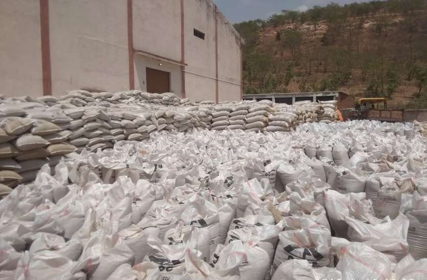 wheat in purchase center आज शाम तक गेहूं का परिवहन नहीं हुआ तो ठेका फर्म पर बढ़ सकती है पेनल्टी
