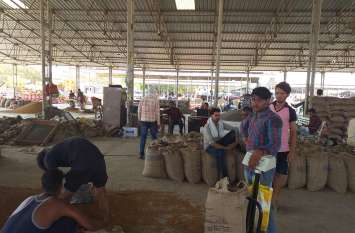 Support Price Chana Purchase Date Increased Due to Transportation with समर्थन मूल्य चना खरीद तिथि बढ़ी तुलाई के साथ परिवहन भी जारी