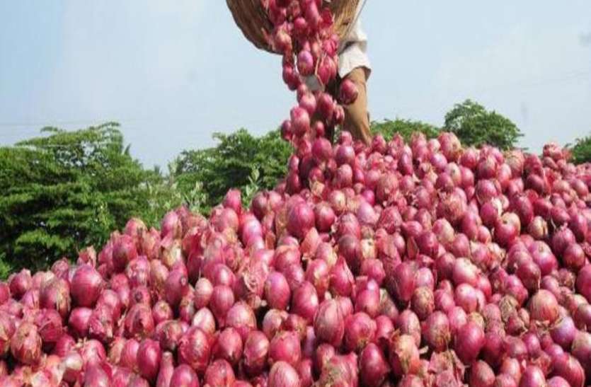 Onion अब से राशन की दुकानों पर मिलेगा सस्ता प्याज, केंद्र सरकार ने की घोषणा