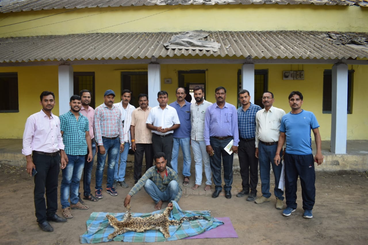 Santkabir nagar Youth caught by STF with leopard skin, nails etc तेंदुआ के खाल संग मध्य प्रदेश में पकड़ा गया खलीलाबाद का युवक