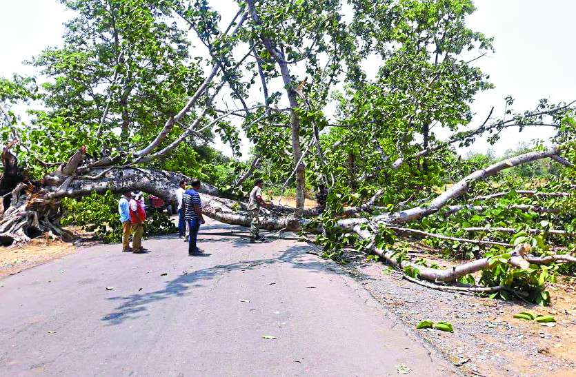 Gale strome आंधी-तूफान ने जमकर बरपाया कहर, पेड़ गिरने से नेशनल हाइवे बाधित