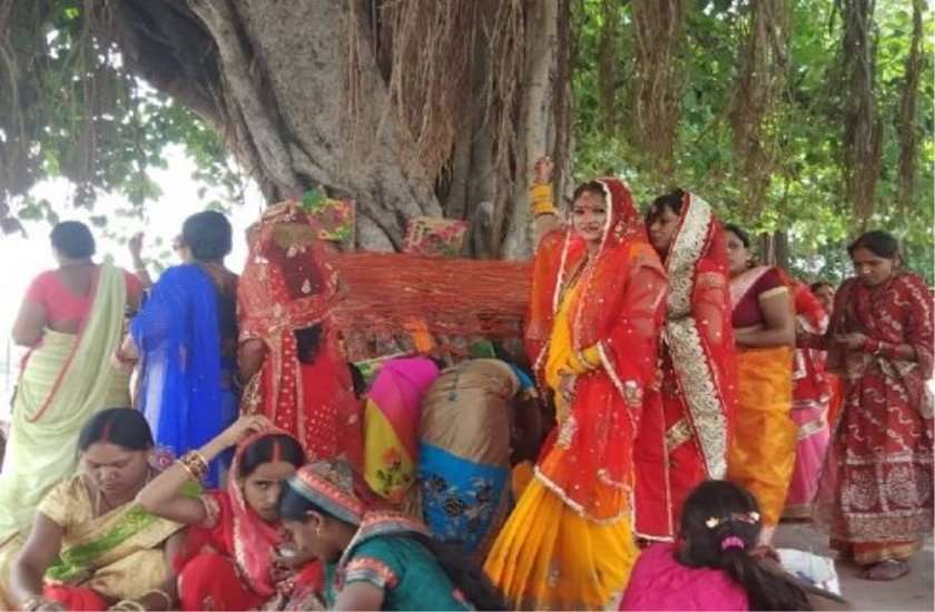 vat savitri vrat 2019