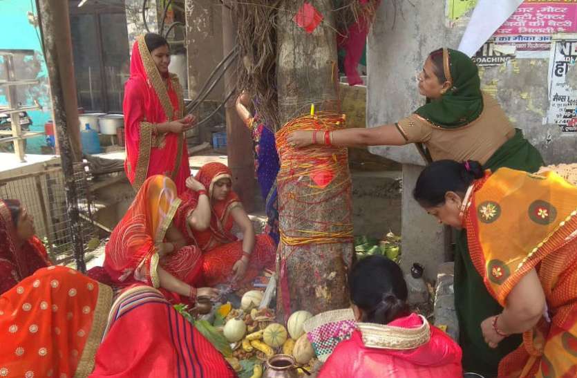 amavasya VIDEO: वट वृक्ष की पूजा अर्चना को लेकर महिलाओं ने दिया बड़ा जवाब, सुनकर हैरान रह गए लोग