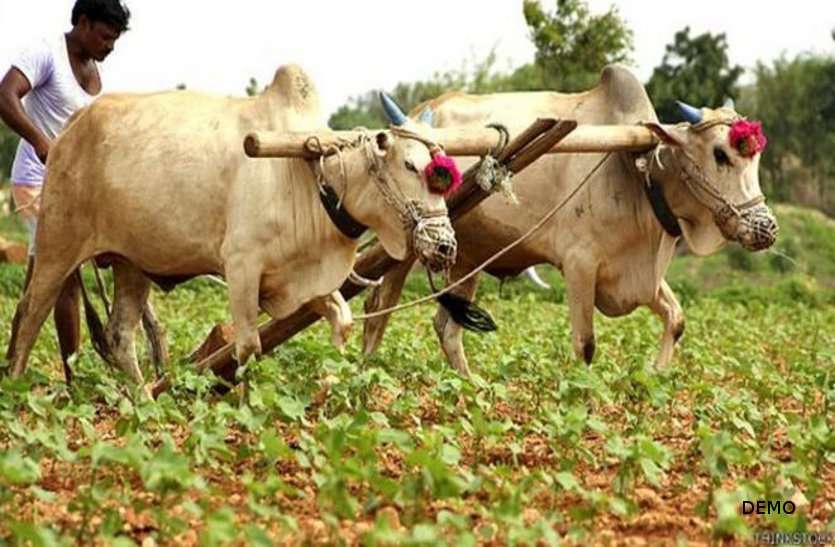 farmer छत्तीसगढ़ के किसानों के लिए बुरी खबर, तरसेंगे खाद और बीज के लिए