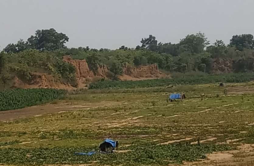 https://www.patrika.com/anuppur-news/trees-falling-in-the-thunderstorm-dark-shadow-in-city-4664060/ एक माह से पानी के लिए तरस रहे रहवासी, बंद हो चुके हैं पांचों पंप