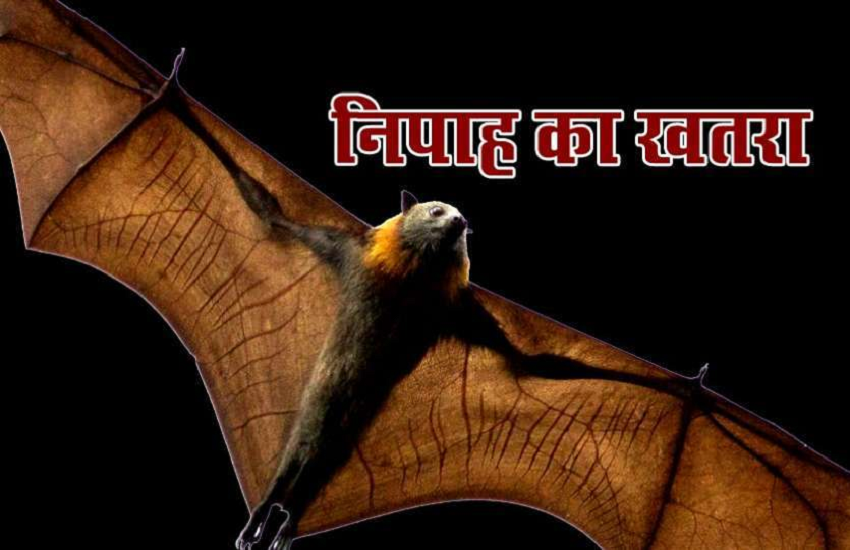 nipah virus