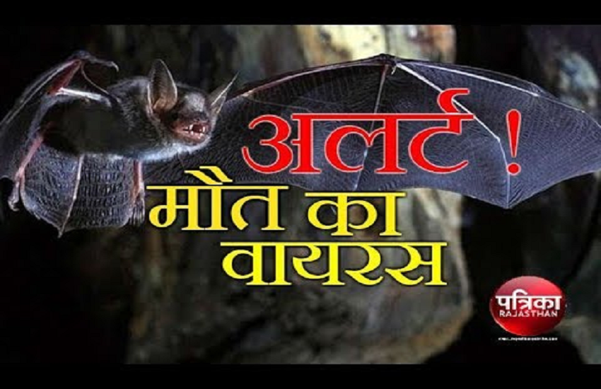 nipah virus