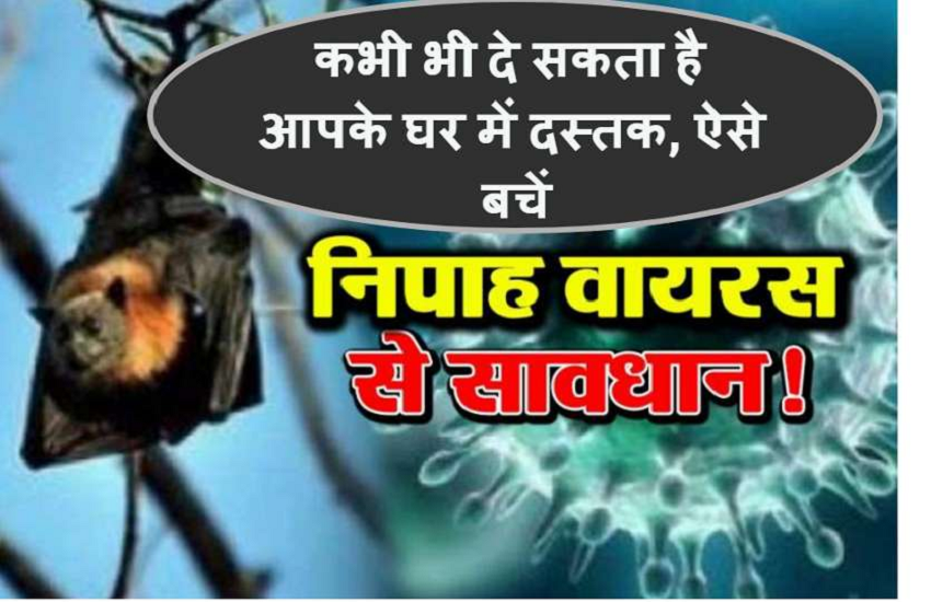 nipah virus
