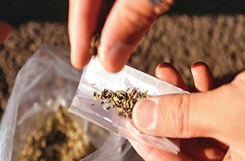 ganja MP के इस जिले में बने केंद्रीय जेल में धड़ल्ले से बिक रहा गांजा