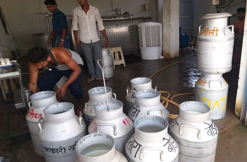 गोमूत्र की बिक्री कर लखुर्री के किसान कर रहे लाखों की आमदनी, अब लगाएंगे प्यूरीफाई मशीन गोमूत्र की बिक्री कर लखुर्री के किसान कर रहे लाखों की आमदनी, अब लगाएंगे प्यूरीफाई मशीन