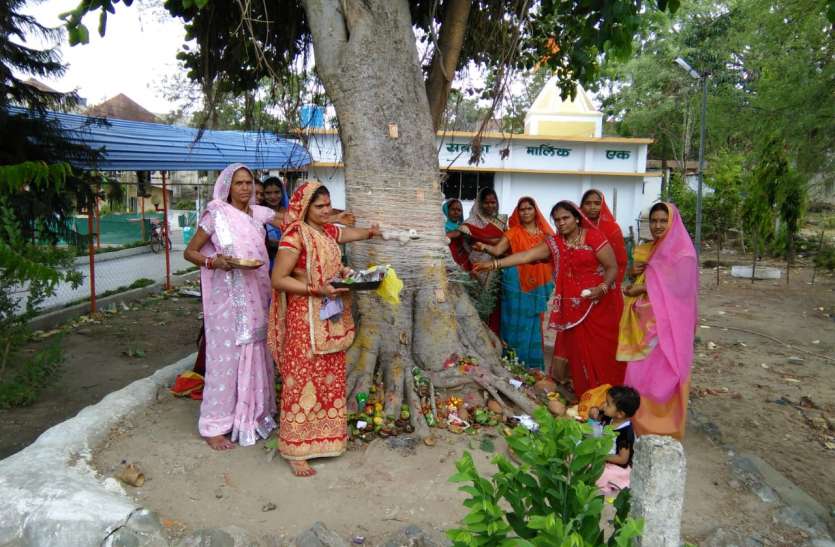 dfd वट सावित्री पूजा : मांगी पति की दीर्घायु