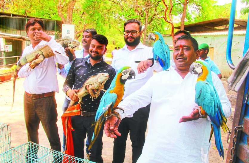 indore चिडिय़ाघर से छोडऩा पड़े जब्त विदेशी पशु-पक्षी