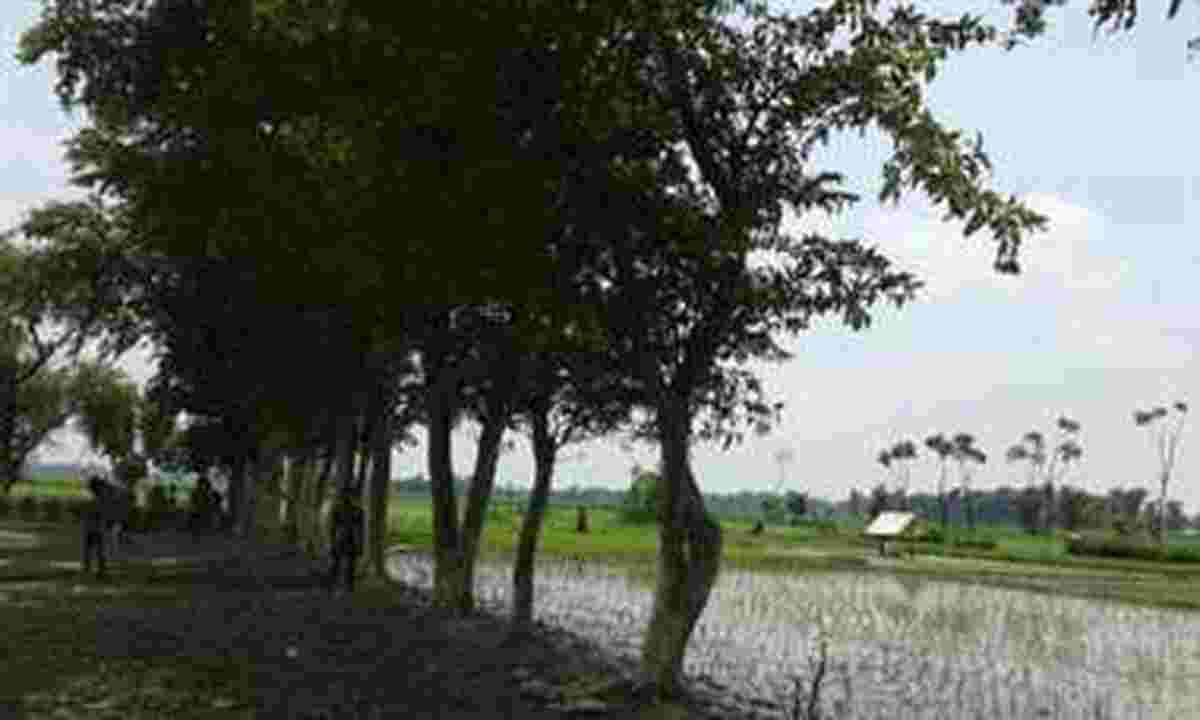 World environment day 2019