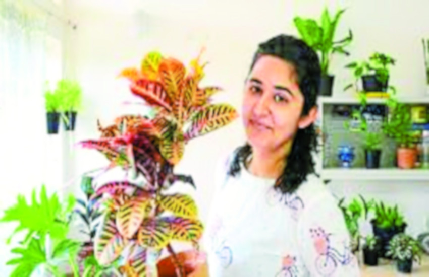 Hanging garden will enhance the beauty of your balcony आपकी बालकनी की खूबसूरती बढ़ाएगा हैंगिंग गार्डन