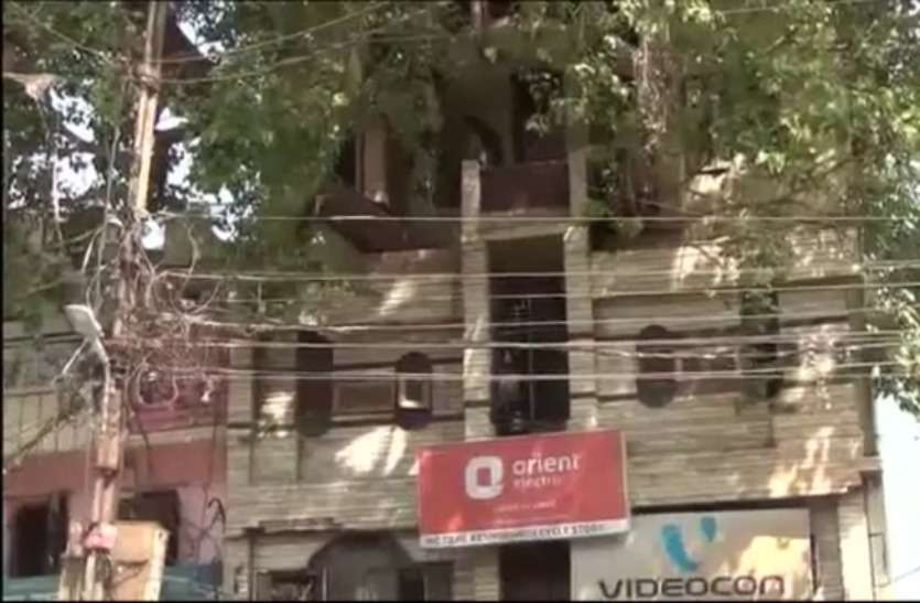 jabalpur house tree