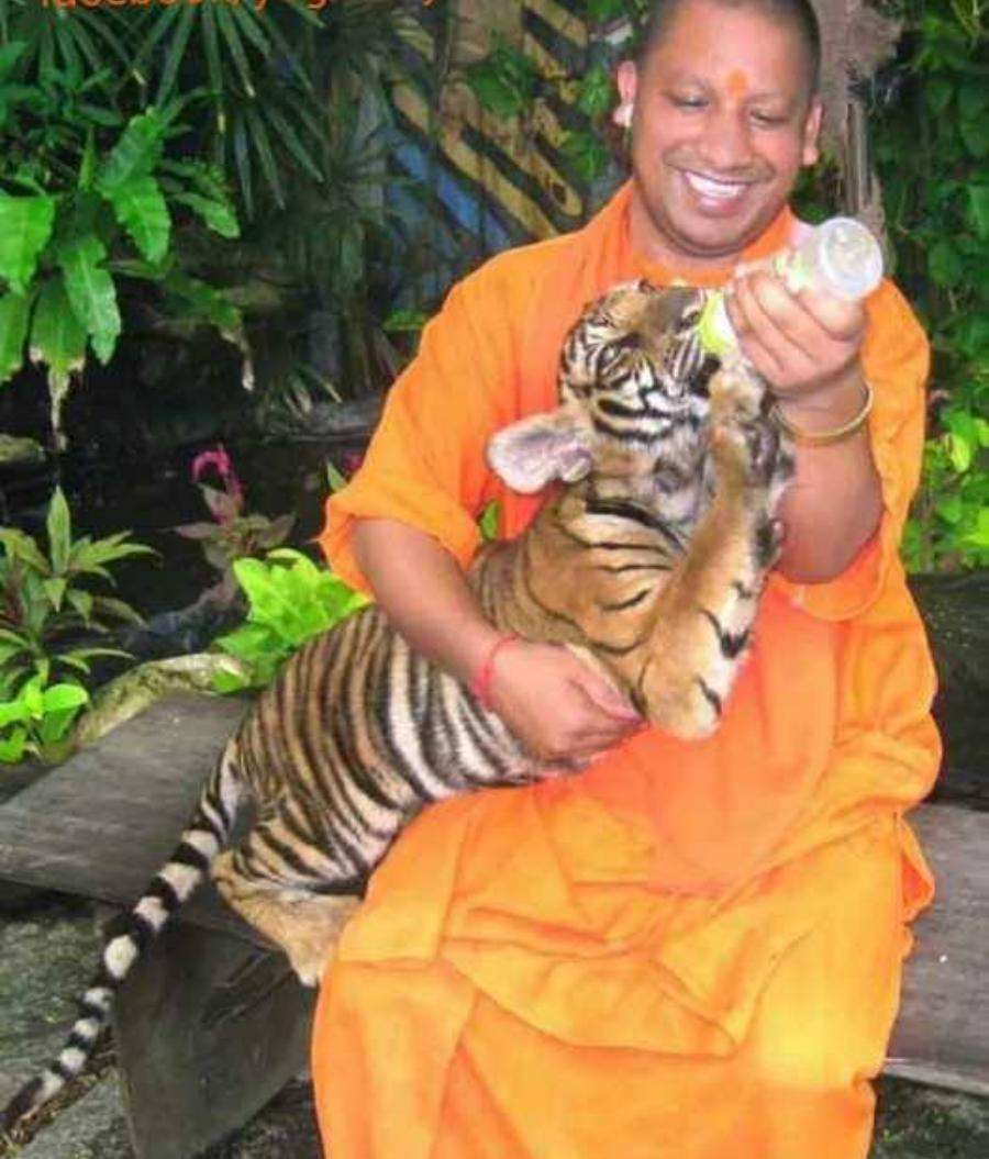 yogi adityanath