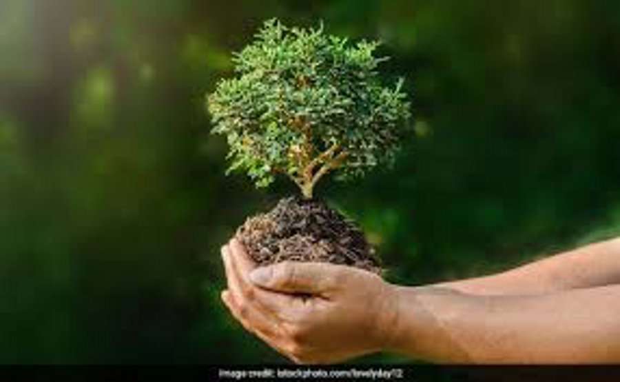 World Environment Day: मध्यप्रदेश के होशंगाबाद जिले की हवा में घुल रहा रसायनों का जहर