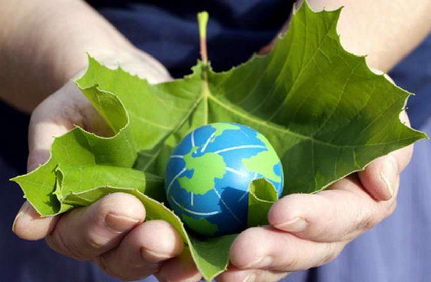 world environment day 2019 : पहले वृक्ष काट दिए और अब कर रहे पर्यावरण की चिंता, ऐसे में कैसे मिलेगी शुद्ध हवा