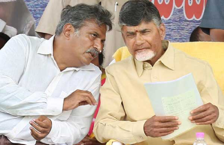 TDP