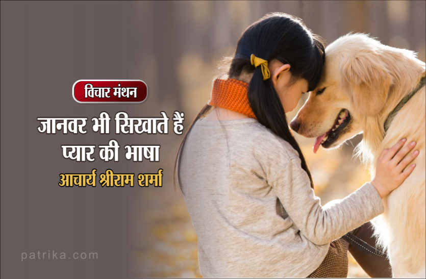 daily thought विचार मंथन : सच्चा प्रेम तो घर के पालतु पशु से सीखे, वह अपने फायदे के लिए न तो धोखा देते हैं और न ही झूठ बोलते हैं- आचार्य श्रीराम शर्मा