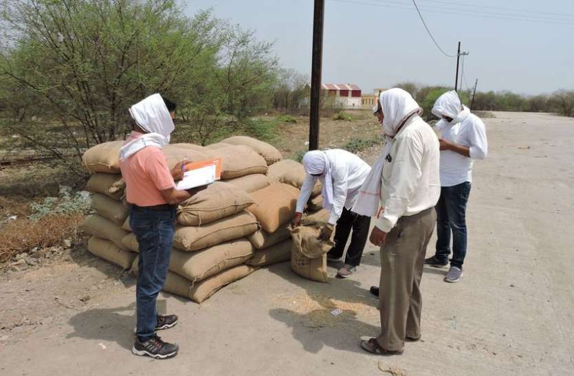 पीडीएस की राशन दुकानों पर वितरण के लिए भेजा था गाडरवारा पहुंचा घोटाले का चना, जांच के बाद भेजा वापस