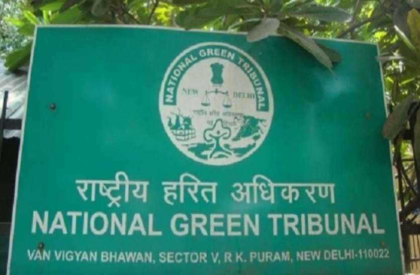 573337-ngt-national-green-tribunal-122016-770x433.jpg फॉरेस्ट एरिया में चिह्नित 33 अतिक्रमण को जवाब देने के लिए एनजीटी ने दिया दो हफ्ते का समय
