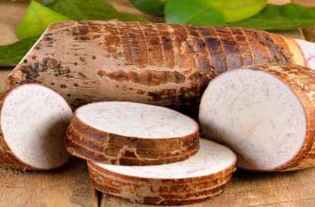 Arbi is good for health, it is useful for weight loss and healthy skin मोटापे समेत इन 10 बीमारियों को देनी है मात तो आज से ही खाएं अरबी